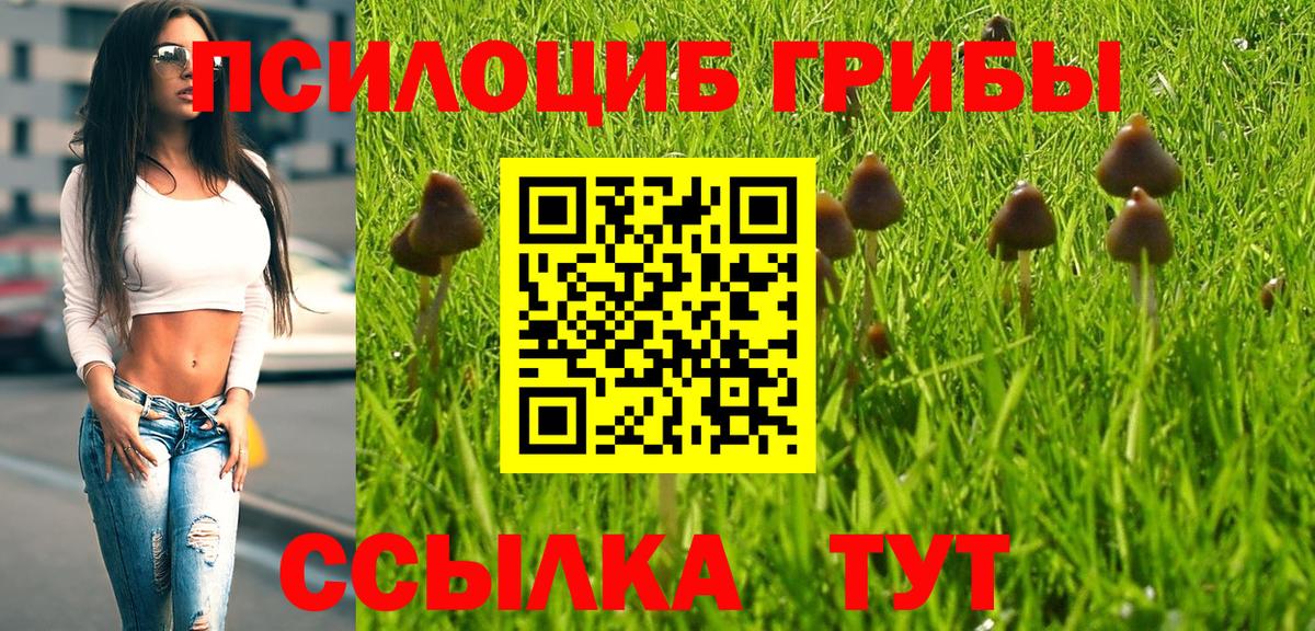 ГАШ Бор